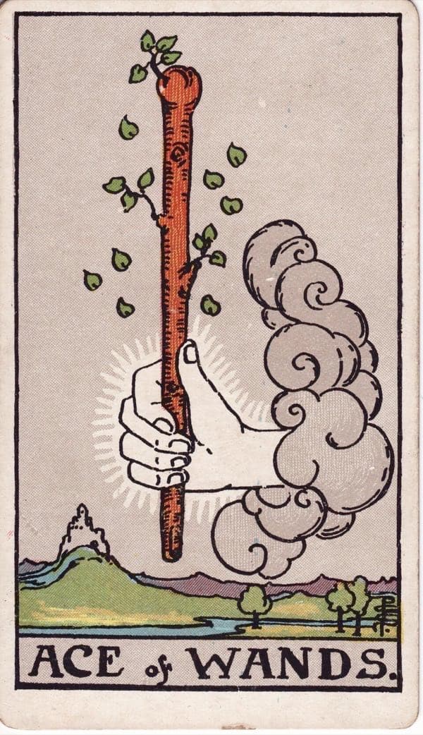 Ace of Wands, upright